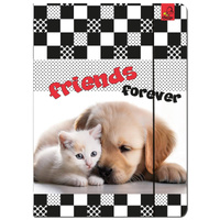 Paczka Teczka A4 z gumką Kot i Pies 5 sztuk