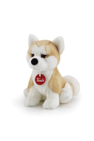 TRUDI PIES AKITA  ASCANIO (S)