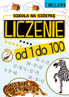 Liczenie od 1 do 100. Szkoła na szóstkę