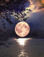 OBRAZ MALOWANIE PO NUMERACH PREZENT KSIĘŻYC + RAMA