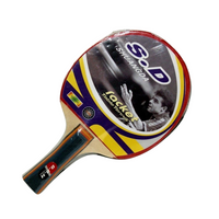 Rakietka do Ping Ponga – Paletka do Tenisa Stołowego dla Każdego