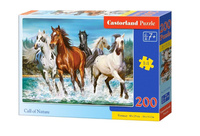 Puzzle 200 Call of Nature CASTOR Castorland