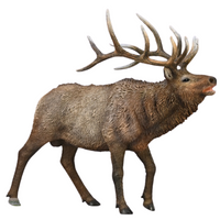 COLLECTA JELEŃ KANADYJSKI