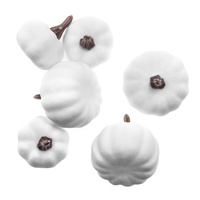 MINI DYNIE MIX, 6 SZT., BIAŁE