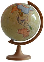 Globus 320 polityczny