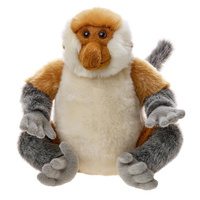 Nosacz sundajski 23cm Beppe