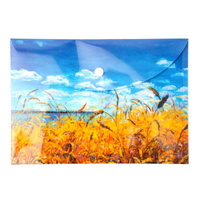 Paczka Teczka A5 kopertowa PP Niebo 5 szt.