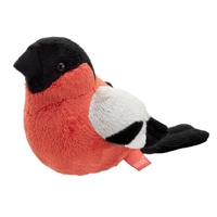 Gil zwyczajny 13cm Beppe