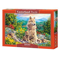Puzzle 1000 New Generation CASTOR Castorland