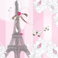 Karnet Swarovski kwadrat CL0525 Wieża Eiffla motyle