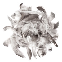 PIÓRA KACZE 5-12 CM, 5 G