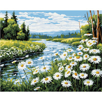 Malowanie po numerach Rzeka 40x50 cm