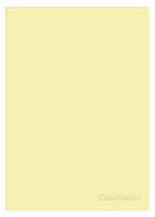 COOLPACK - ZESZYT A5 PP - 60 K. KRATKA (bm) - PASTEL / POWDER YELLOW
