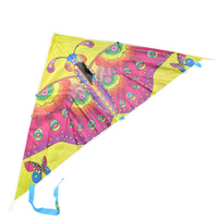 Latawiec Kolorowy Dla Dzieci Lekki Rekreacyjny Zabawka Na Dwór Prezent