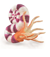 COLLECTA  PRAVITOCERAS