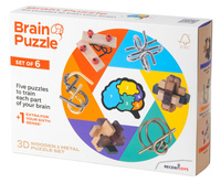 Łamigłówka Brain Puzzle zestaw 6 szt.
