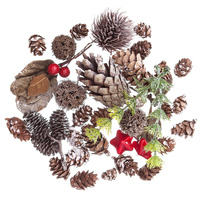 NATURALNE ELEMENTY, MIX, 50 G