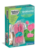 Anatomia 50252