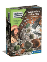Skamieliny i minerały 50866