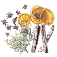 NATURALNE ELEMENTY 19 SZT., CYNAMON, ANYŻ, POMARAŃCZA