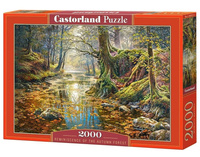 Puzzle 2000 Wspomnienie z jesiennego lasu CASTOR Castorland