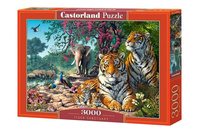 Puzzle 3000 Tiger Sanctuary Castorland