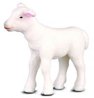 COLLECTA JAGNIĘ STOJĄCE