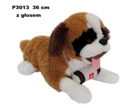 Bernardyn z głosem 36cm Sun-Day