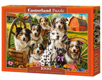 Puzzle 1000 Happy Dogs In The Countryside CASTOR Castorland