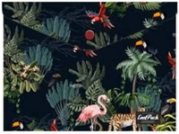 COOLPACK - KOPERTA NA DOKUMENTY A4 - na zatrzask - MALINDI