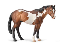 COLLECTA APPALOOSA OGIER MAŚCI BAY OVERO
