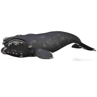 COLLECTA WALEŃ ZWIERZĘTA MORSKIE