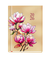 Terminarz 2026 Ola A6 tygodniowy 01