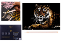 KOLOROWANKA ZDRAPYWANKA WYDRAPYWANKA DUŻA MAGICZNA