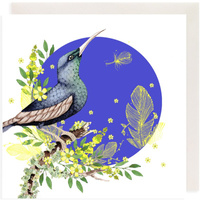 Karnet Swarovski kwadrat CL2011 Koliber