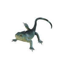 Jaszczurka piszcząca zabawka dla dzieci edukacyjna 6 wzorów do wyboru