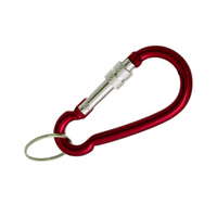 Brelok karabińczyk kolorowy duży zestaw 12 sztuk praktyczny solidny