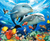 OBRAZ MALOWANIE PO NUMERACH PREZENT DELFINY + RAMA