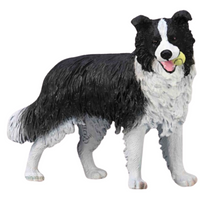 COLLECTA BORDER COLLIE