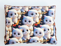 Poduszka koty 1