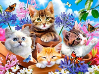 DUŻY OBRAZ MALOWANIE PO NUMERACH KOT KOTKI + RAMA