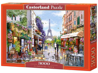 Puzzle 3000 Fowering Paris CASTOR Castorland