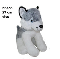 Pies husky z głosem 24cm Sun-Day