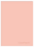 COOLPACK - ZESZYT A5 PP - 60 K. KRATKA (bm) - PASTEL / POWDER PEACH