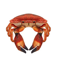 Krab słonowodny 26cm Beppe