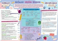 Podkładka na biurko dwustronna B3 części zdania